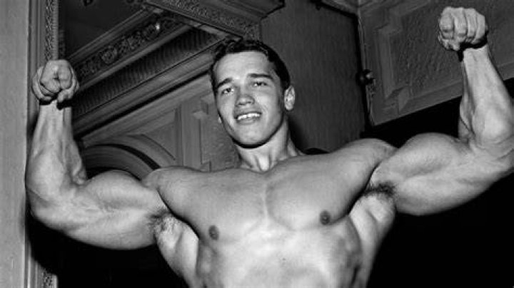 Arnold Schwarzenegger 