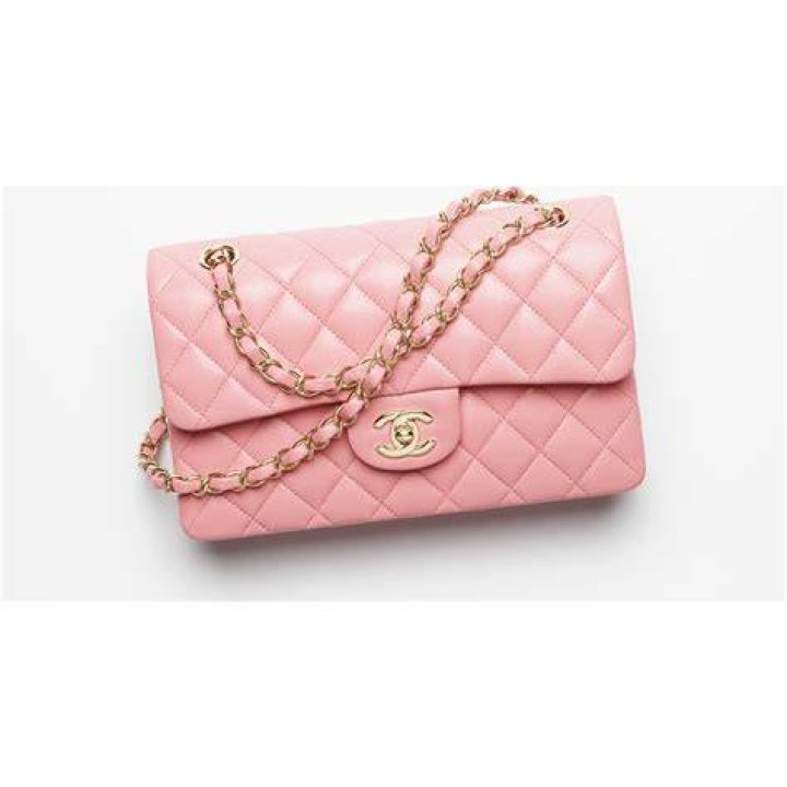 Chanel Purse