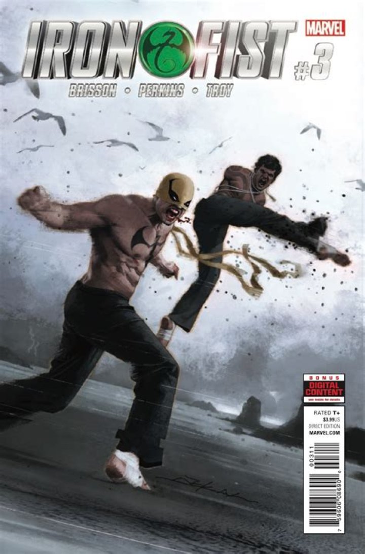 iron-fist-3